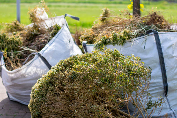 Professional Junk Removal Services in Germantown, TN