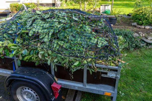 Best Estate Cleanout  in Germantown, TN